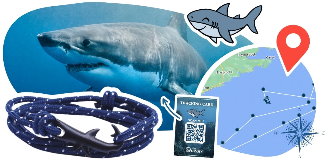Interactive Ocean Journey Geolocation Tracking Bracelet - Deep Black